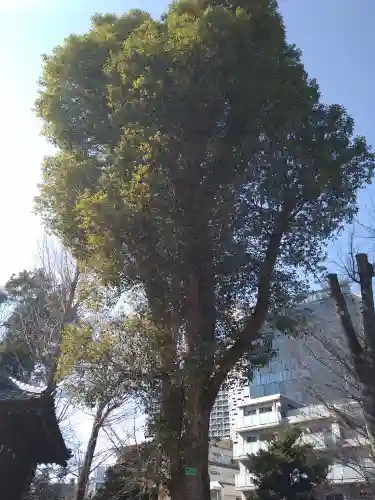 西向天神社の自然