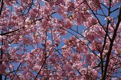 大慈寺(三重県)