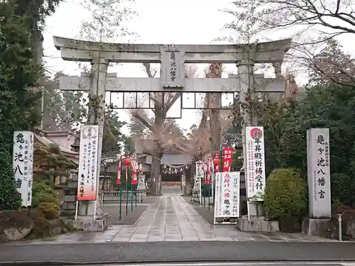 亀ケ池八幡宮の鳥居