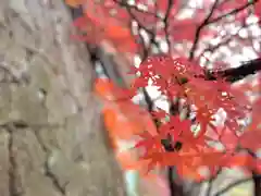 眞田神社の自然