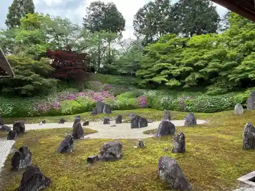 光明院（光明禅院）(京都府)