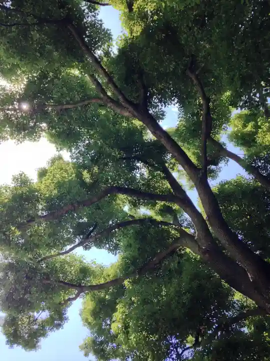 日枝神社の自然
