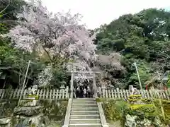 大豊神社(京都府)