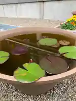 龍蟠寺のその他建物