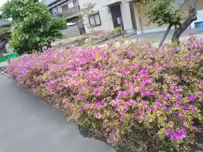 正業寺(神奈川県)