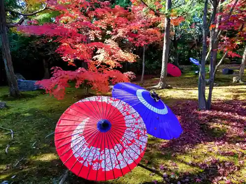 勝林寺のその他建物