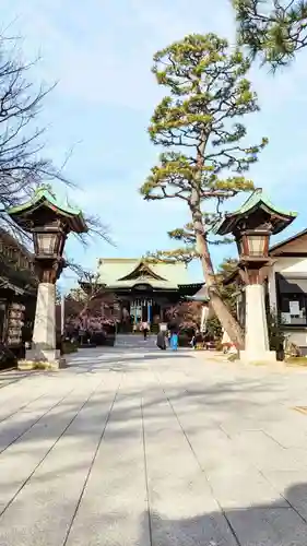 桜神宮の本殿・本堂