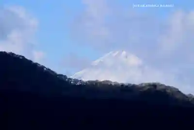 箱根神社(神奈川県)