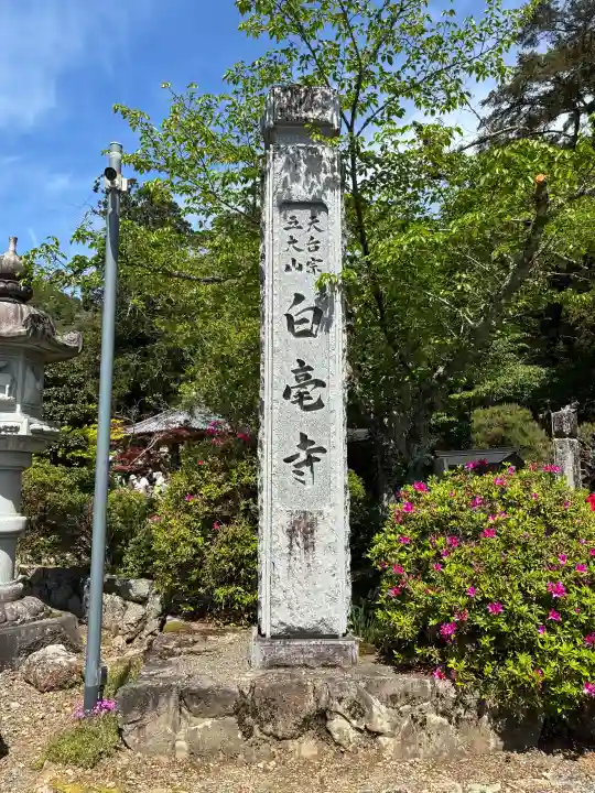 天台宗 五大山 白毫寺の{uncategorized: "未分類", other: "その他", undefined: "問題あり", building: "その他建物", grave: "お墓", sacred_gate: "鳥居", guardian: "狛犬", statue: "像", buddha: "仏像", history: "歴史", nature: "自然", garden: "庭園", animal: "動物", pagoda: "塔", temizu: "手水舎", mountain_gate: "山門・神門", sanctuary: "本殿・本堂", subordinate: "末社・摂社", art: "芸術", scenery: "景色", jizo: "地蔵", ema: "絵馬", goshuin: "御朱印", omikuji: "おみくじ", items: "授与品その他", amulet: "お守り", goshuincho: "御朱印帳", eats: "食事", festival: "お祭り", votive_dance: "神楽", shichigosan: "七五三参", wedding: "結婚式", experience: "体験その他", initially: "初詣", around: "周辺", anti_infection: "感染症対策"}