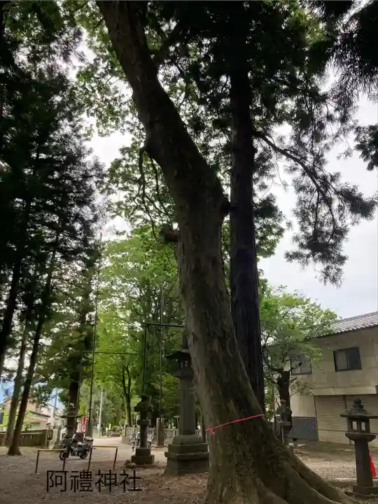 阿禮神社(長野県)