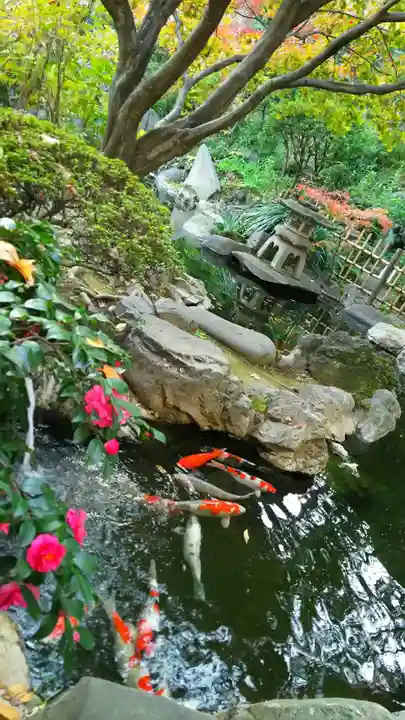 待乳山聖天(本龍院)の庭園