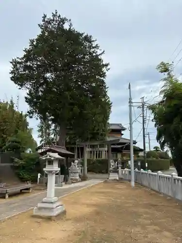 子安神社(千葉県)