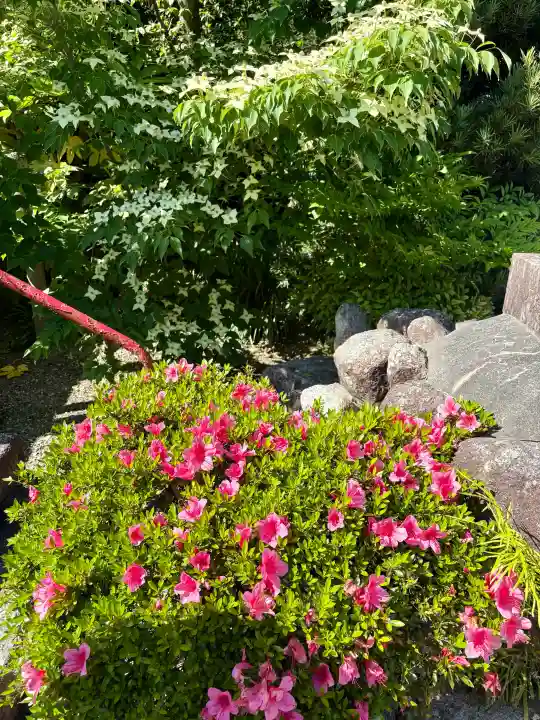 玉三稲荷神社の{uncategorized: "未分類", other: "その他", undefined: "問題あり", building: "その他建物", grave: "お墓", sacred_gate: "鳥居", guardian: "狛犬", statue: "像", buddha: "仏像", history: "歴史", nature: "自然", garden: "庭園", animal: "動物", pagoda: "塔", temizu: "手水舎", mountain_gate: "山門・神門", sanctuary: "本殿・本堂", subordinate: "末社・摂社", art: "芸術", scenery: "景色", jizo: "地蔵", ema: "絵馬", goshuin: "御朱印", omikuji: "おみくじ", items: "授与品その他", amulet: "お守り", goshuincho: "御朱印帳", eats: "食事", festival: "お祭り", votive_dance: "神楽", shichigosan: "七五三参", wedding: "結婚式", experience: "体験その他", initially: "初詣", around: "周辺", anti_infection: "感染症対策"}