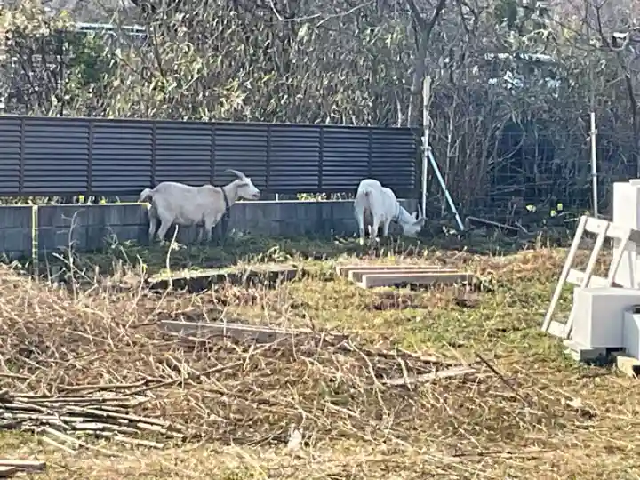 永保寺(岐阜県)