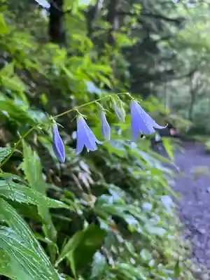 穂高神社奥宮(長野県)