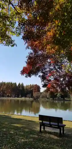 徳島稲荷神社の周辺