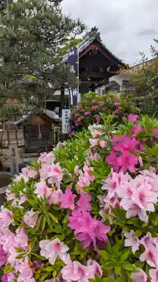 勝龍寺(京都府)