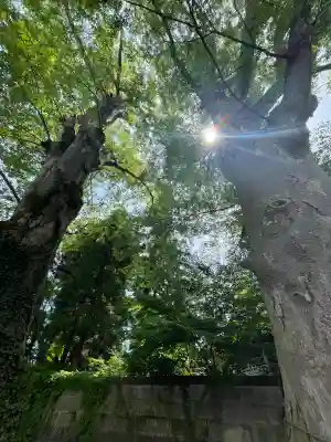 神炊館神社 ⁂奥州須賀川総鎮守⁂の{uncategorized: "未分類", other: "その他", undefined: "問題あり", building: "その他建物", grave: "お墓", sacred_gate: "鳥居", guardian: "狛犬", statue: "像", buddha: "仏像", history: "歴史", nature: "自然", garden: "庭園", animal: "動物", pagoda: "塔", temizu: "手水舎", mountain_gate: "山門・神門", sanctuary: "本殿・本堂", subordinate: "末社・摂社", art: "芸術", scenery: "景色", jizo: "地蔵", ema: "絵馬", goshuin: "御朱印", omikuji: "おみくじ", items: "授与品その他", amulet: "お守り", goshuincho: "御朱印帳", eats: "食事", festival: "お祭り", votive_dance: "神楽", shichigosan: "七五三参", wedding: "結婚式", experience: "体験その他", initially: "初詣", around: "周辺", anti_infection: "感染症対策"}