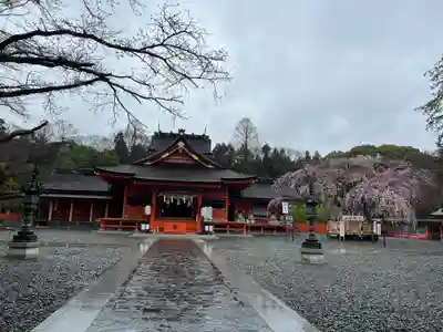 富士山本宮浅間大社(静岡県)
