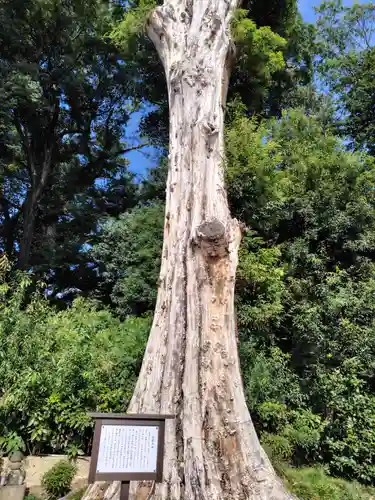 龍興寺(栃木県)