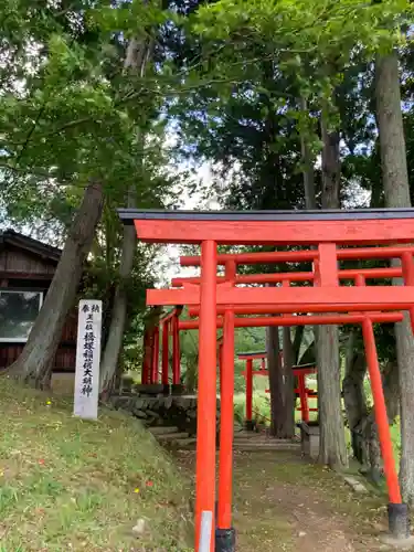 橋塚稲荷大明神の鳥居