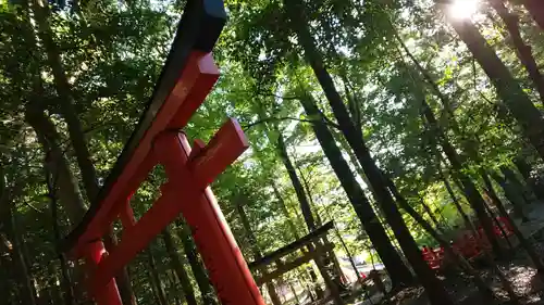 出雲大神宮の鳥居