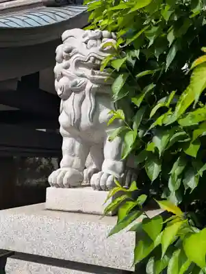 神楽坂若宮八幡神社(東京都)