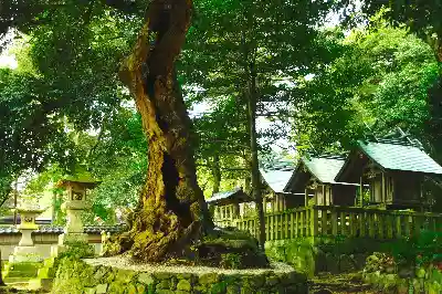 出雲大社北島国造館 出雲教の自然