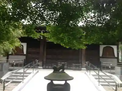 大正寺の本殿・本堂