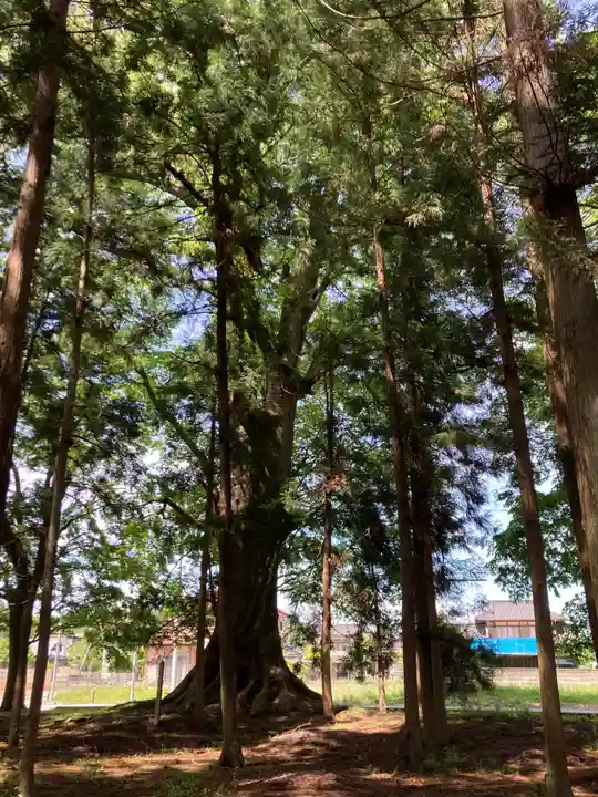 小原神社(茨城県)