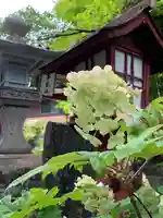 持寳院(多氣山不動尊)の自然