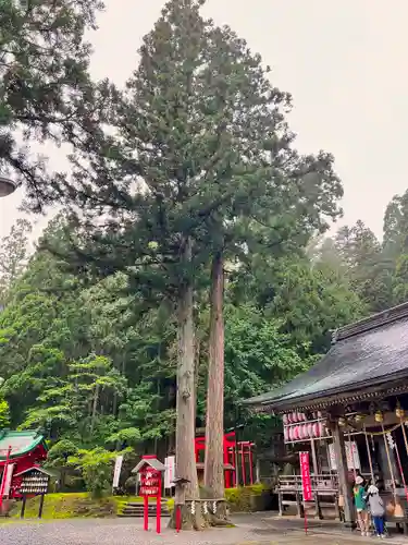志和稲荷神社(岩手県)
