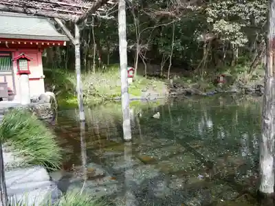 富士山本宮浅間大社(静岡県)