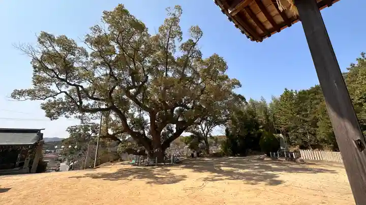 志筑神社(兵庫県)