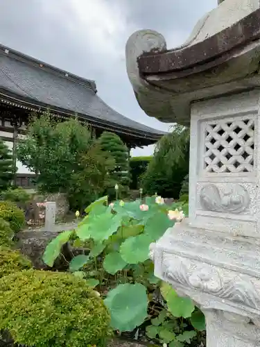 龍興寺（浮見観音）の庭園