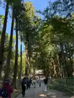 白山神社(岩手県)