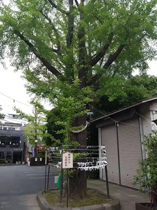 溝口神社(神奈川県)