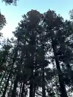 大宮温泉神社の自然