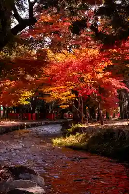 賀茂別雷神社（上賀茂神社）(京都府)