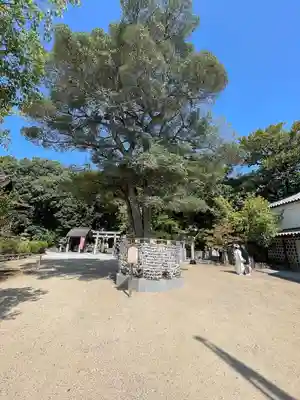 阿智神社(岡山県)