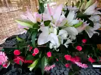 厚別神社(北海道)