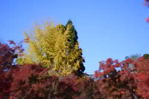 禅林寺（永観堂）(京都府)