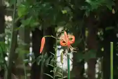 開成山大神宮の庭園