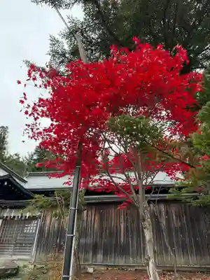 諏訪大社(長野県)