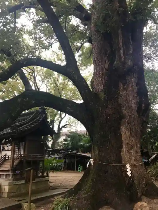 道明寺天満宮の自然
