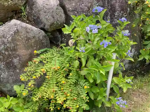 横浜　西方寺の自然