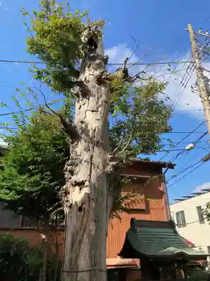 船玉神社の自然