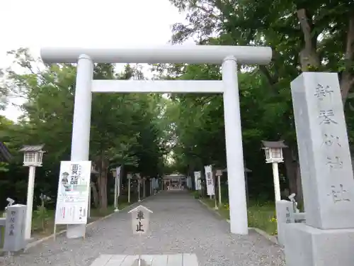 新琴似神社の鳥居