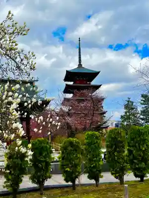 最勝院の{uncategorized: "未分類", other: "その他", undefined: "問題あり", building: "その他建物", grave: "お墓", sacred_gate: "鳥居", guardian: "狛犬", statue: "像", buddha: "仏像", history: "歴史", nature: "自然", garden: "庭園", animal: "動物", pagoda: "塔", temizu: "手水舎", mountain_gate: "山門・神門", sanctuary: "本殿・本堂", subordinate: "末社・摂社", art: "芸術", scenery: "景色", jizo: "地蔵", ema: "絵馬", goshuin: "御朱印", omikuji: "おみくじ", items: "授与品その他", amulet: "お守り", goshuincho: "御朱印帳", eats: "食事", festival: "お祭り", votive_dance: "神楽", shichigosan: "七五三参", wedding: "結婚式", experience: "体験その他", initially: "初詣", around: "周辺", anti_infection: "感染症対策"}
