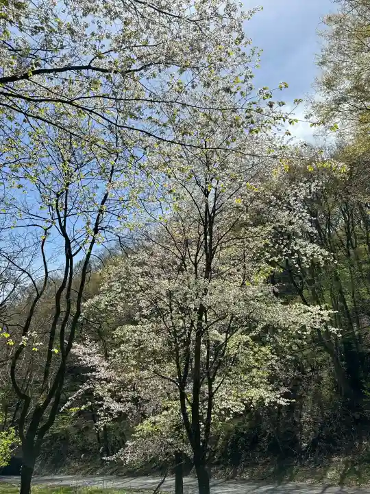 八代神明宮の{uncategorized: "未分類", other: "その他", undefined: "問題あり", building: "その他建物", grave: "お墓", sacred_gate: "鳥居", guardian: "狛犬", statue: "像", buddha: "仏像", history: "歴史", nature: "自然", garden: "庭園", animal: "動物", pagoda: "塔", temizu: "手水舎", mountain_gate: "山門・神門", sanctuary: "本殿・本堂", subordinate: "末社・摂社", art: "芸術", scenery: "景色", jizo: "地蔵", ema: "絵馬", goshuin: "御朱印", omikuji: "おみくじ", items: "授与品その他", amulet: "お守り", goshuincho: "御朱印帳", eats: "食事", festival: "お祭り", votive_dance: "神楽", shichigosan: "七五三参", wedding: "結婚式", experience: "体験その他", initially: "初詣", around: "周辺", anti_infection: "感染症対策"}